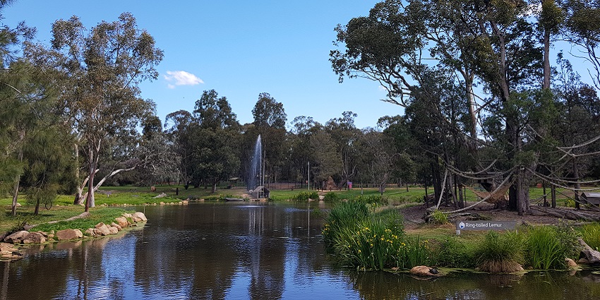 Explore Sydney's Taronga Zoo after dark on a night safari in Australia for a great experience.