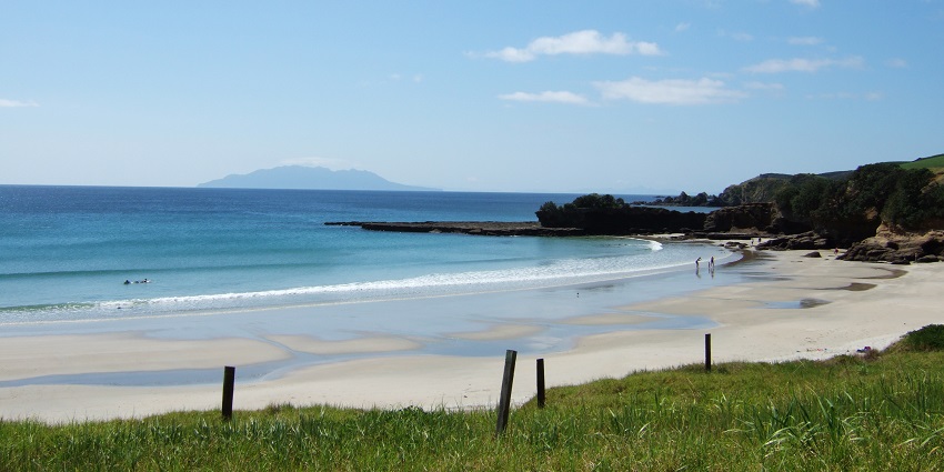 Experience the beauty of a beach at Tāwharanui Regional Park