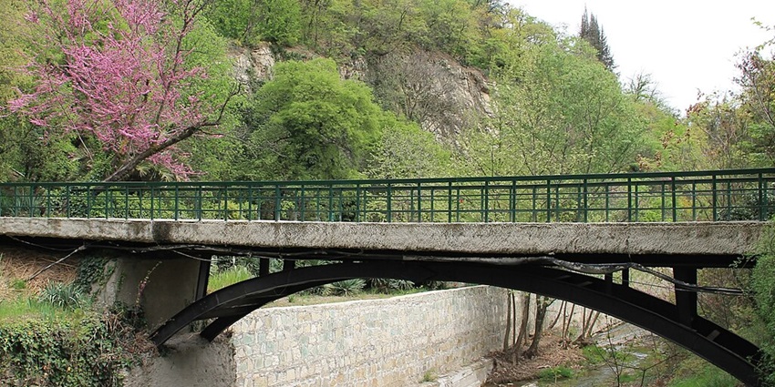 Tbilisi Botanical Garden, a garden with diverse plant species and scenic landscapes.