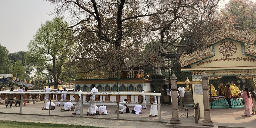 The Bodhi Tree with tranquil surroundings, which tops the Sarnath tourist places list.