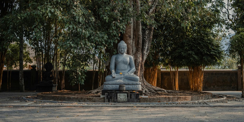 A view of the Buddha statue at the Garden of Spiritual Wisdom surrounded by greenery.