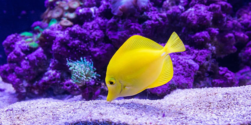 A view of an educational centre with an aquarium, IMAX theatre, and interactive exhibits.