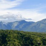 A picture of the scenic hills of Bandipur, located in the western ghats of Karnataka.