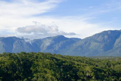 A picture of the scenic hills of Bandipur, located in the western ghats of Karnataka.