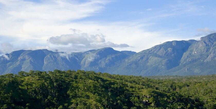 A picture of the scenic hills of Bandipur, located in the western ghats of Karnataka.