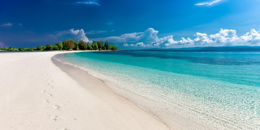 A serene beach with a stretch of white sand and backdrop of green trees under blue sky