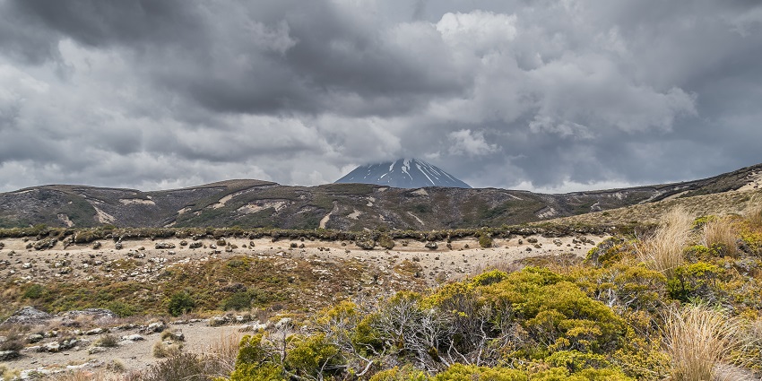 15 BEST THINGS TO DO IN THE TONGARIRO NATIONAL PARK visual data 7