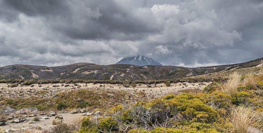 Relax and unwind at Tongariro National Park.