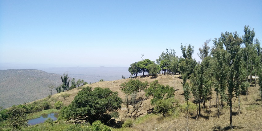 Things to do in Bandipur include Gopalaswamy Betta trek with panoramic views and wildlife.