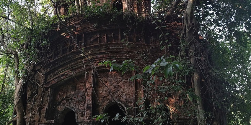 You can reach Tungareshwar Temple by trekking through the forests.