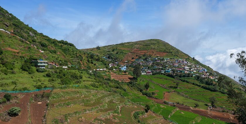 A picture of one of the famous hill treks at Velliangiri- a famous spot for Tamil Nadu trekking.