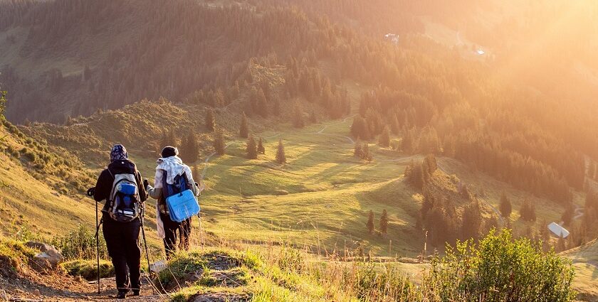 A picture of a popular and very scenic trek Route to Sandhakpu (Singalila National Park).