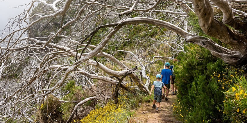 Trekking Adventure Sports in Yelagiri through serene natural trails and scenic landscapes