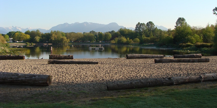 Trout Lake Beach, with multiple logs on it, is empty on a sunny and peaceful day.