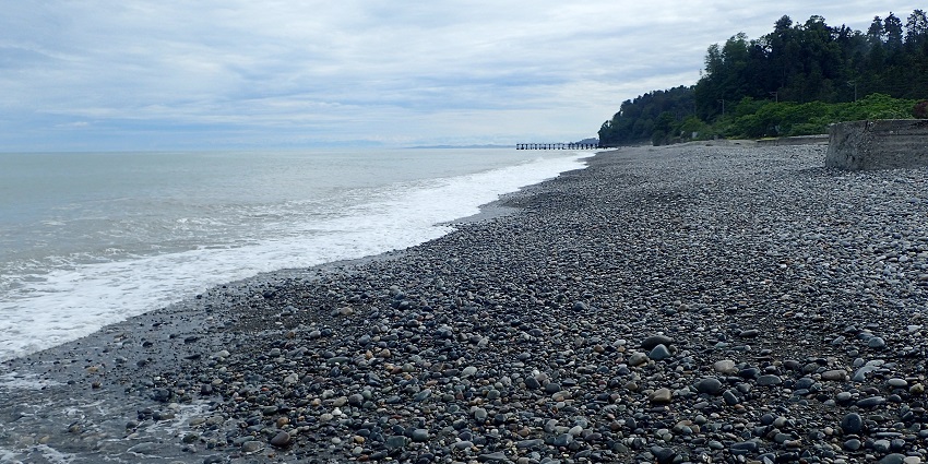 Tsikhisdziri Beach is an exquisite beach near ancient ruins, offering calm waters and greenery.
