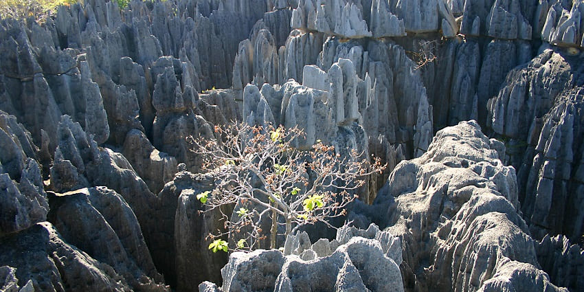 Image of Tsingy - Trek the “stone forest”,an iconic place to visit in Madagascar