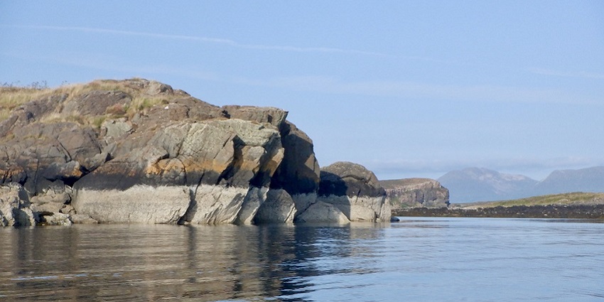 Ulva Island near Stewart Island, offers a glimpse into variety of bird species