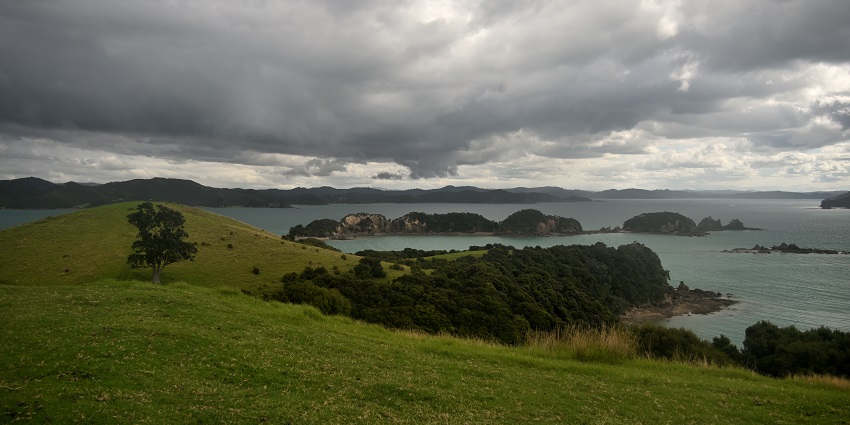 An amazing view of Urupukapuka Island in the Bay of Islands, New Zealand