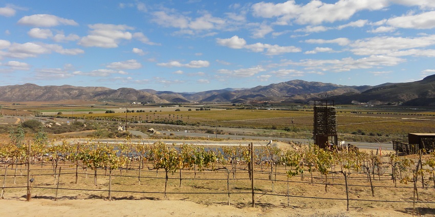 A picture of Vineyards in Valle de Guadalupe, a romantic wine destination in Mexico
