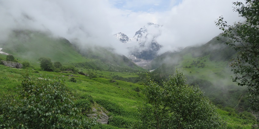 Beautiful view of the Valley of Flowers, a place near Gopinath Temple