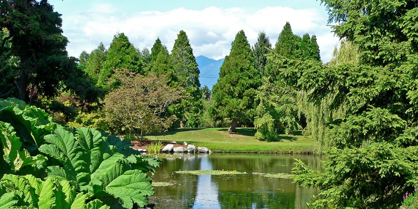 The lush greenery of the Botanical Garden is showcased along with a pond in the middle