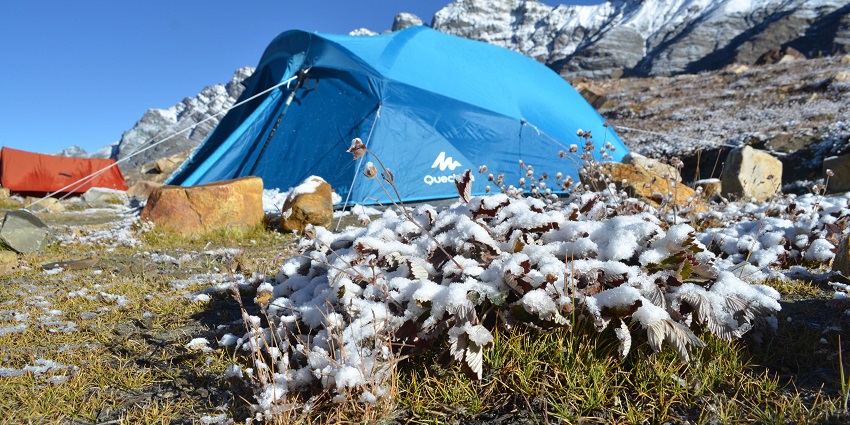 Enjoy trekking in Dehradun to picturesque Vasuki Tal Lake, surrounded by alpine meadows.
