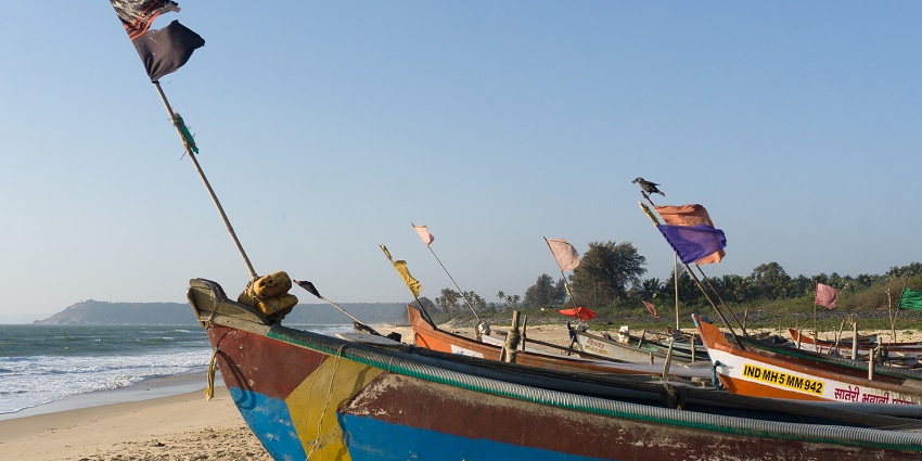 Vengurla Beach featuring colorful boats lined along the sandy shore