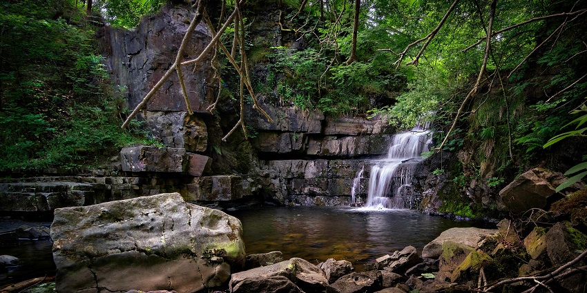 An image of a waterfall cascading through the forest, surrounded by dense trees and natural beauty
