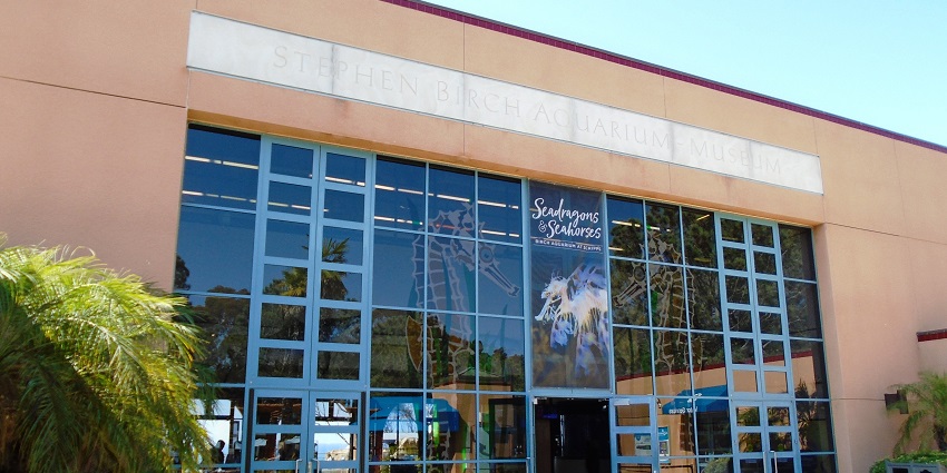 Entrance of Birch Aquarium at Scripps with large glass windows and a seahorse dummy.