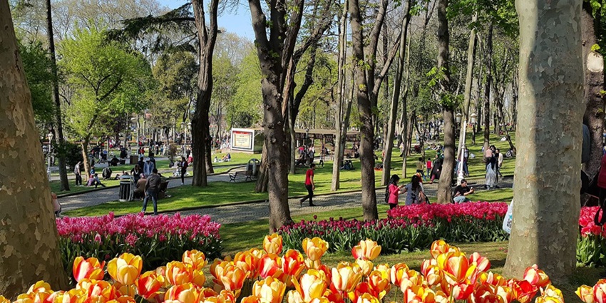 Colorful tulip gardens in a serene urban park setting.