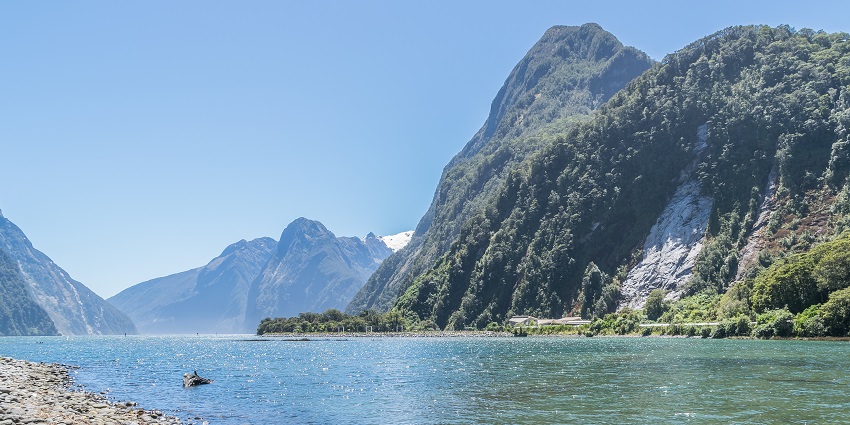 Add a visit to Milford Sound, a natural marvel - one of the things to do in Queenstown.