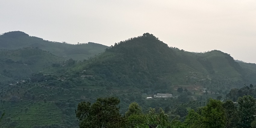Bandipur has various nearby hill stations that offer cool climates.