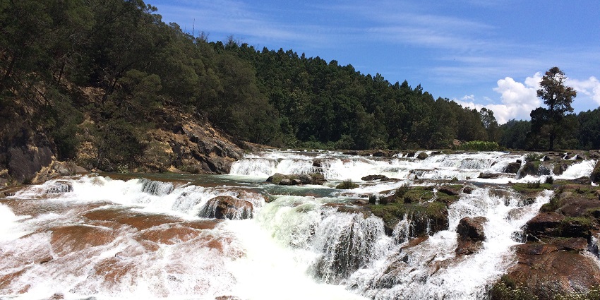 Pykara Falls offers stunning waterfalls surrounded by lush greenery and tranquillity.