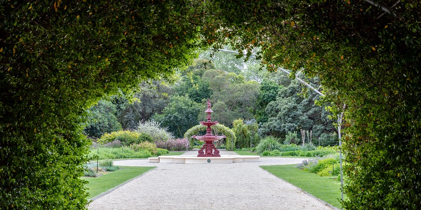 Take a stroll around the Adelaide Botanic Garden, one of the things to do in Adelaide.