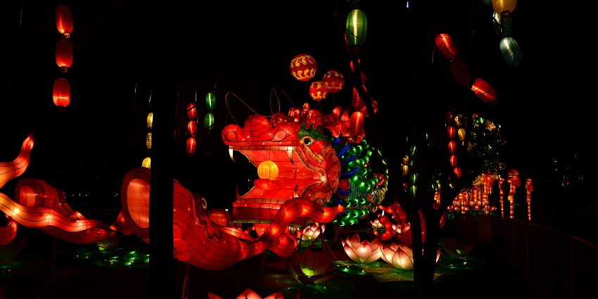 Enchanted Forest Of Light - one of the best things to do in Los Angeles in December.