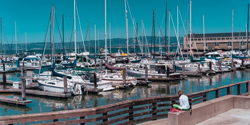View of ships on the water with many buildings lined up along the shore and greenery