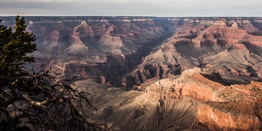 A picture of the Grand Canyon offering views of its majestic layers of bedrock