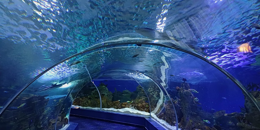 Marine park showcasing diverse sea life and educational exhibits