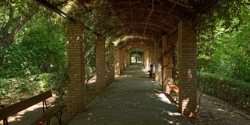 National Gardens of Athens with multiple benches and pillars surrounded by greenery