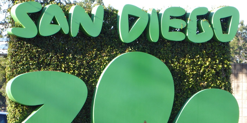 Explore a variety of animals at San Diego - one of the things to do in San Diego.