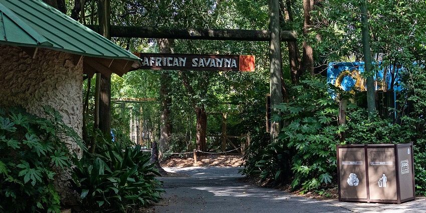 The entrance of the African Savanna where a large number of apes are found in Zoo Atlanta.