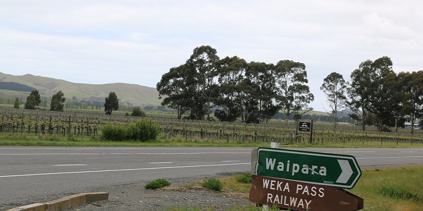 Visiting the wineries in Waipara is a fun thing to do in Christchurch.