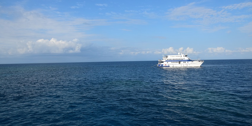 This place is perfect for underwater adventures and exciting things to do in Australia.