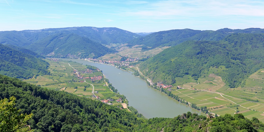 A picture of Wachau Valley’s vineyards, which is among the top places to visit in Austria.
