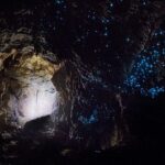 Explore Waitomo Glowworm Caves, a beautiful destination in New Zealand.