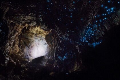 Explore Waitomo Glowworm Caves, a beautiful destination in New Zealand.