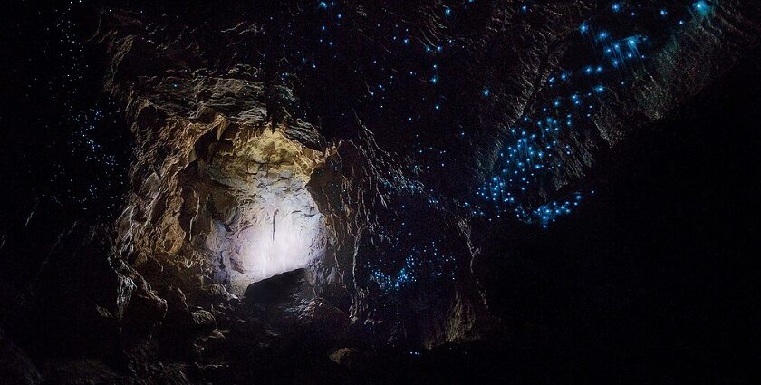 Explore Waitomo Glowworm Caves, a beautiful destination in New Zealand.