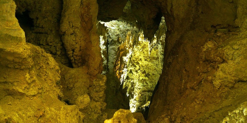A picture of the glowing interiors of the Waitomo Glowworm Caves in New Zealand