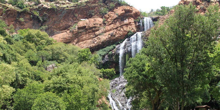 A peaceful retreat with lush greenery, waterfalls, and opportunities for birdwatching.