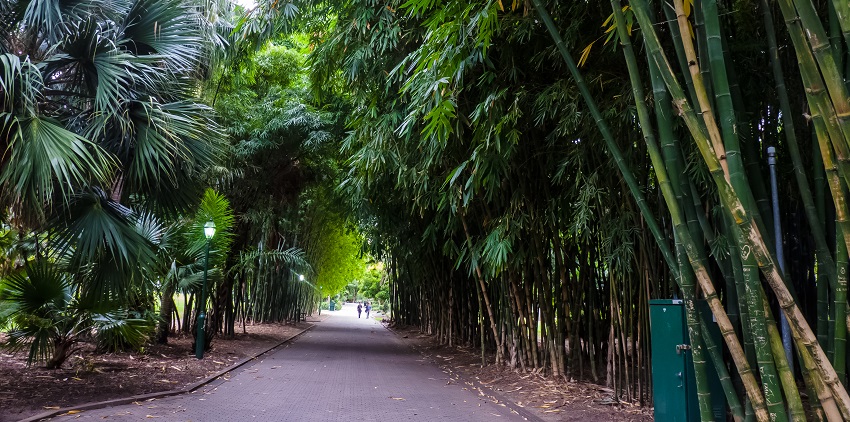 Visit Brisbane City Botanic Gardens which offers a peaceful retreat from the bustling city.